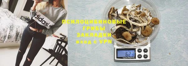синтетический гашиш Няндома
