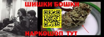 крисы Будённовск