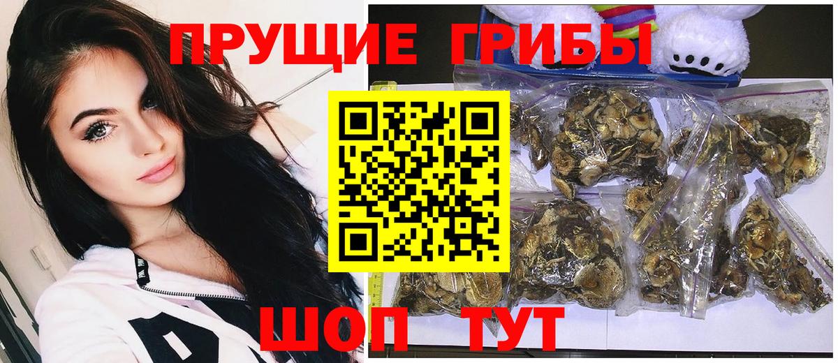 Псилоцибиновые грибы Magic Shrooms  Вход с VPN  Псилоцибиновые грибы MAGIC MUSHROOMS  Людиново 