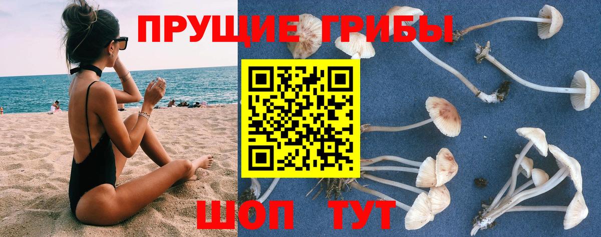 ЭКСТАЗИ Людиново