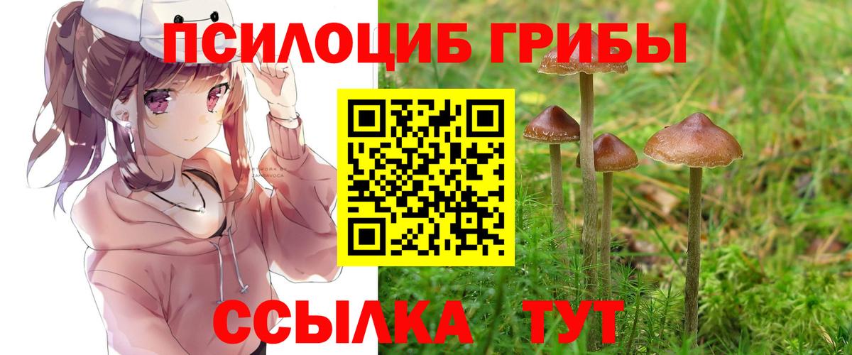 Галлюциногенные грибы прущие грибы Людиново