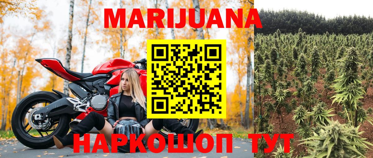 Конопля план Людиново