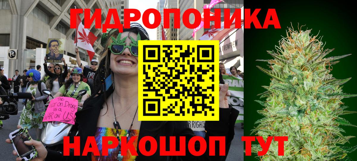 Людиново  Канабис конопля  Бошки Шишки Amnesia  Вход с VPN  Марихуана Bruce Banner 